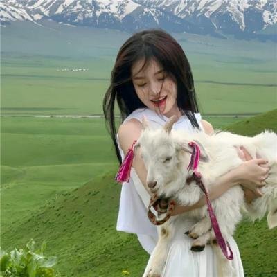 春花娇美可人儿